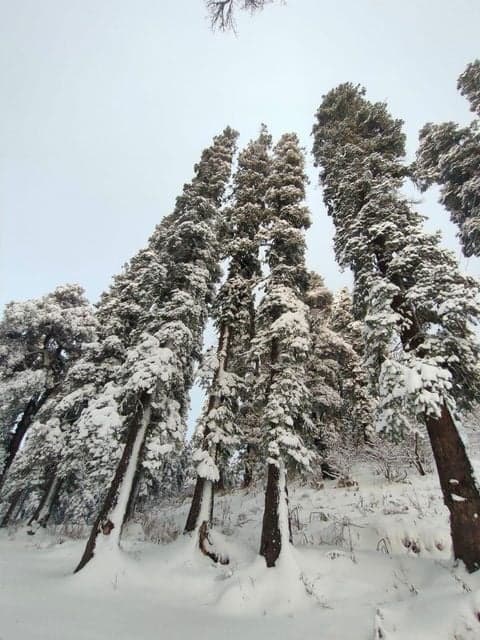 Spiritual Mountains of Himachal