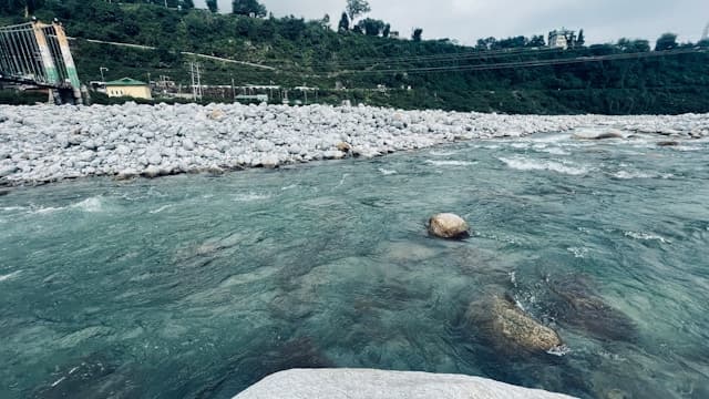 Palampur Tea Gardens